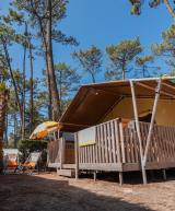 Tente Ecoluxe 8 personnes vue extérieure sous les pins au camping Le Vieux Port dans les Landes