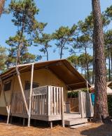 Tente Ecoluxe 4/5 personnes vue extérieure sous les pins au camping Le Vieux Port dans les Landes
