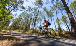 Vélo sur la piste cyclable de la Vélodyssée qui traverse les Landes