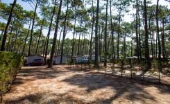 Vue ensemble Emplacement Standard 2/6 personnes dans les Landes au camping Le Vieux Port
