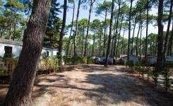 Parcelle Emplacement Standard 2/6 personnes dans les Landes au camping Le Vieux Port