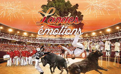 Blog Landes émotions du Camping le Vieux Port 5 étoiles dans les Landes 