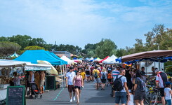 Blog que faire dans les landes proche du Camping le Vieux Port 5 étoiles