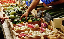 Marché producteur bio etal maraicher