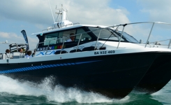 Balade en mer, à la recherche des dauphins dans les Landes avec XCAT