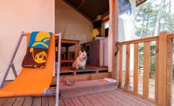 Tente tout confort RESASOL animaux admis 4/5p : 21 m², 2 chambres, cuisine équipée, salle de bains, terrasse couverte, famille et animaux.