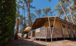 Tente Ecoluxe 8 personnes vue extérieure sous les pins au camping Le Vieux Port dans les Landes
