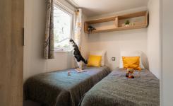 Un chat dans le mobil-home Resasol 4 chambres avec animaux admis dans les Landes