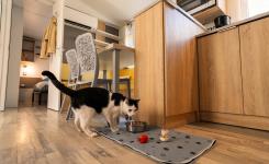 Mobil-home Resasol 4 chambres avec chiens et chats admis, dans les Landes
