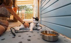 Chat sur la terrasse du mobil-home Resasol 4 chambres