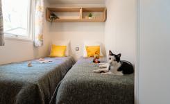 Un chat dans la chambre enfants du mobil-home Resasol 4 animaux admis