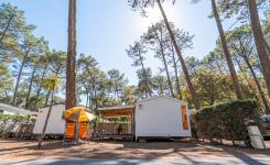 Vue extérieure du mobil-home 4 chambres animaux admis dans les Landes.