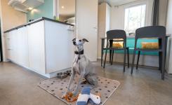 Mobil-home Resasol 4/6 personnes acceptant les animaux de compagnie au camping Le Vieux Port