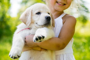 Bébé chien tenu par une petite fille 