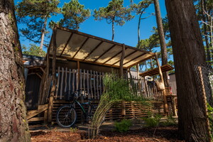 Mobil-home du quartier premium en bois flottés au coeur de la forêt landaise de pins au camping 5 étoiles Le Vieux Port dans les Landes