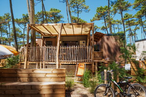 Lodge du quartier premium en bois flottés au cœur de la forêt landaise de pins au camping 5 étoiles Le Vieux Port dans les Landes